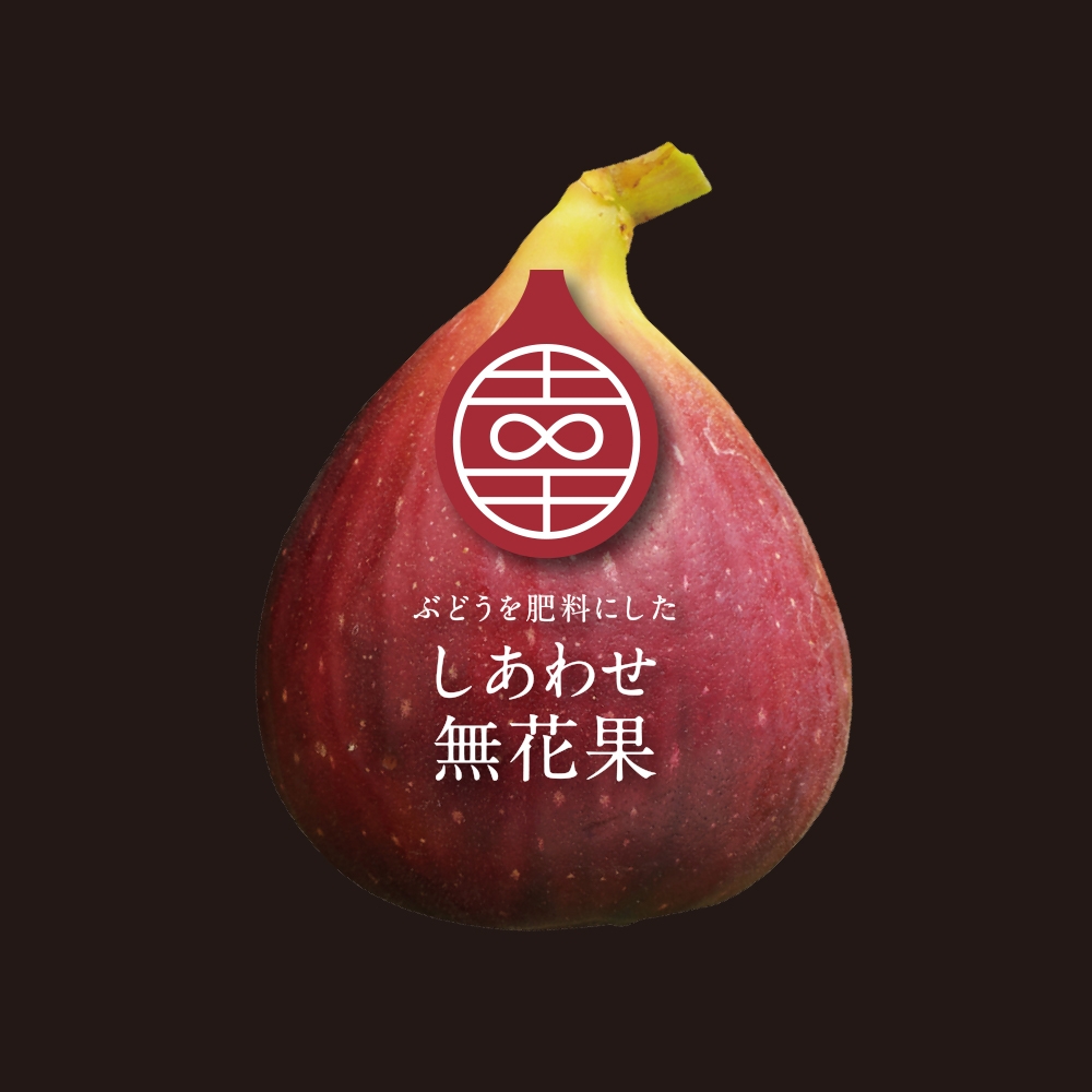 ブランドいちじく特設サイトがオープンしました