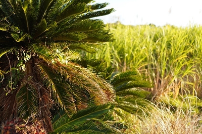 lyYzST8UmgHuGREEhG6U.JPG?w=940&h=940