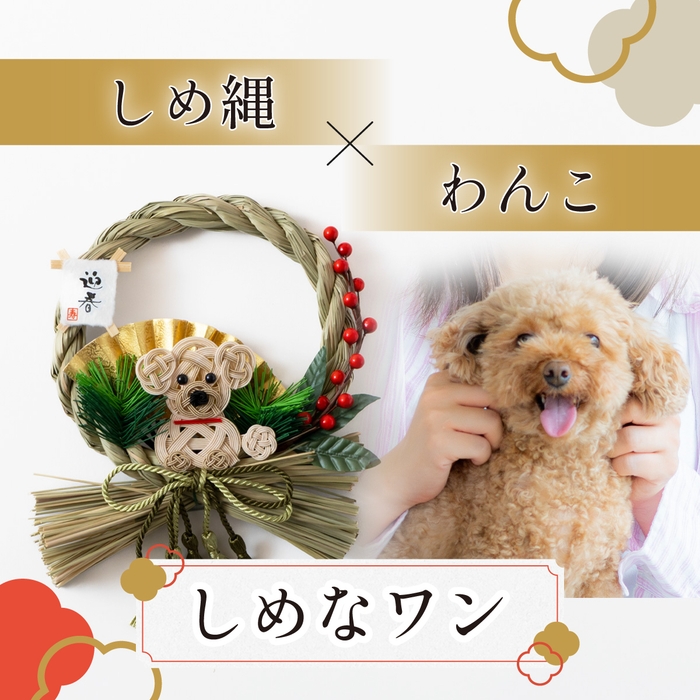 しめなワン(ベージュプー)