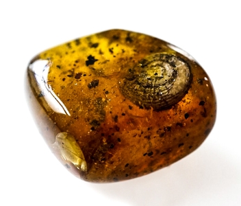 m0eMnrcQwYTvuwf60nuz.jpg?w=940&h=940