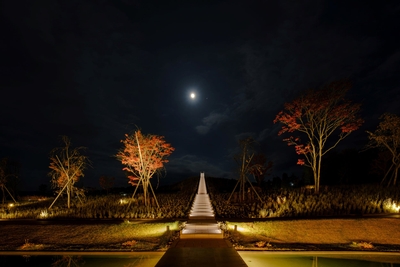 m0shFo5T7r37OrXyFeWD.jpg?w=940&h=940