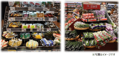 m1OB76KjeIn0KHUcFCgu.png?w=940&h=940