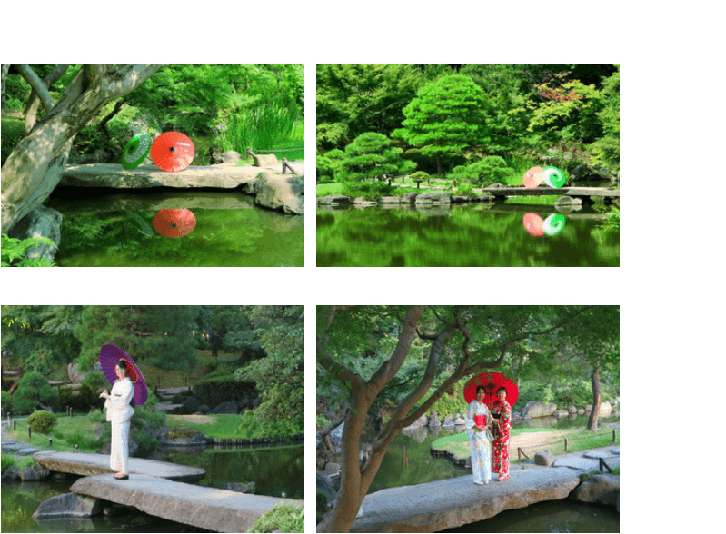 【都立8庭園】日差しを避けて涼しく「和傘で庭園めぐり」開催