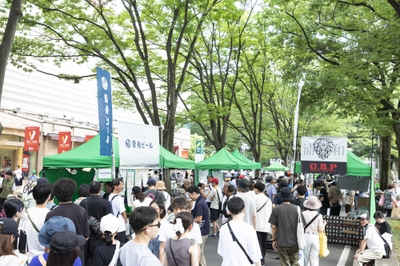 m3jsRLEnBv71Sh3UymCj.jpg?w=940&h=940