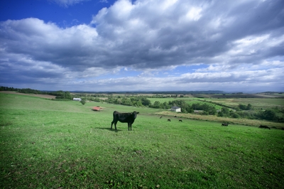 m4FWCr2rjpErVAvmdcMn.jpg?w=940&h=940