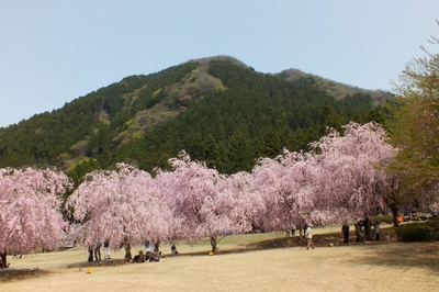 m4kzCt5USW9vE22dbrgD.jpg?w=940&h=940