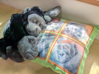 m5bYr0ZPMUheYp1kYFSj.jpg?w=940&h=940