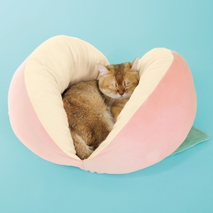 m5dpfHuhMa5wPB5Swhmd.jpg?w=940&h=940