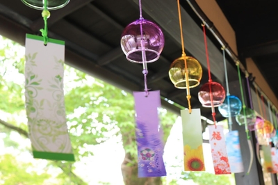 m5p3vVtND8j0hSY6Q1pP.jpg?w=940&h=940