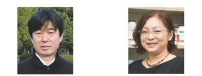 農業生産科学科 教授 細川 宗孝（左）、生物機能科学科 教授 篠原 美紀（右）