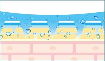 マイクロニードルの浸透  250umのニードルが角質層へダイレクト注入！