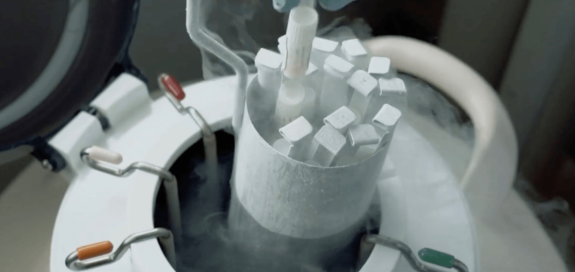 ユ*ノ様 ヒリーフラハンズ　我が家の断トツ個性的株　胞子培養　9/27 ユ*ノ様 ヒリーフラハンズ 我が家の断トツ個性的株 胞子培養 9/27 ユ