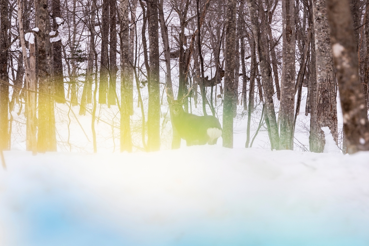 ファッション・アート界で活躍を続けるフォトグラァー6名が “写真の町”を舞台に切り取った、個性あふれる写真の数々を展で発表