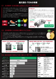 還元型E‐TEN　パンフレット2