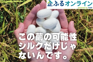京都府京丹後市のまちづくりを企業の力で支援！企業版ふるさと納税「企ふるオンライン」で寄附受付を開始