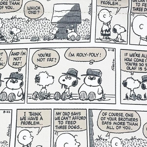 スヌーピーの保冷バッグ