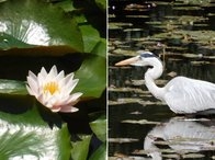 mDhOioqnPohLbbeCYegb.jpg?w=940&h=940