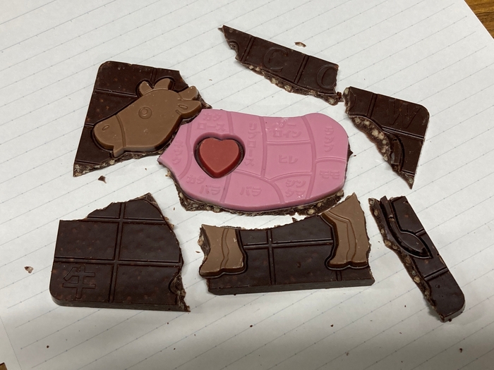 写真1 型抜き遊びのできるチョコレート(失敗しました)