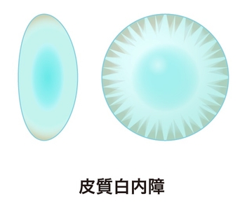 mFmp7YbQezwFflJvK886.jpg?w=940&h=940