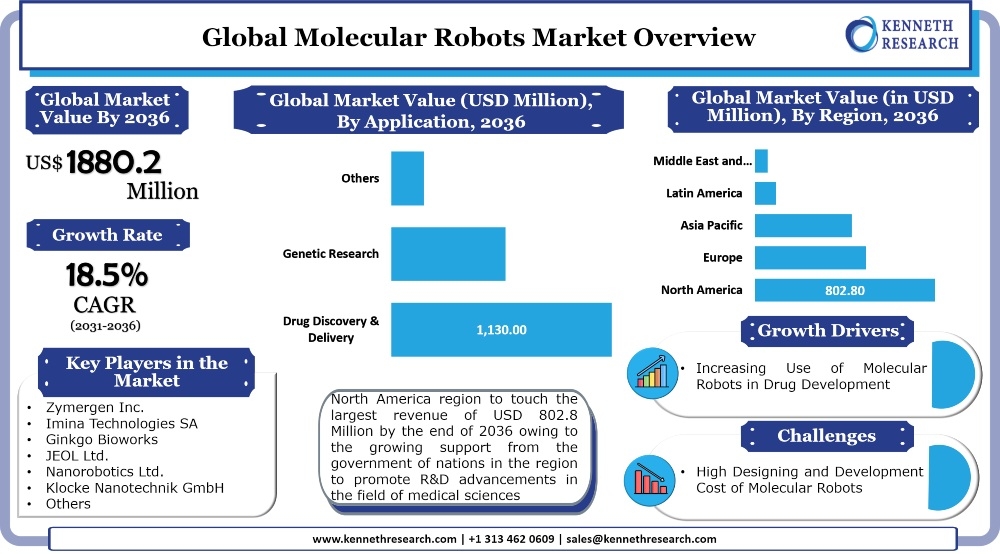 世界の分子ロボット市場は、調剤ミスに対する製薬メーカー間の懸念の高まりにより成長します。市場は2031年から2036年の間に18.5%のCAGRで成長する
