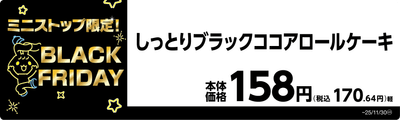 しっとりブラックココアロールケーキ　販促画像