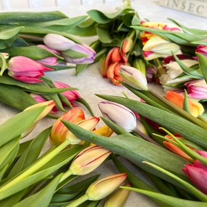 mG9xQM4DFZoOeHopMtCf.jpg?w=940&h=940