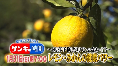 mGIfXQ3dZ20fz9HxzwnI.jpg?w=940&h=940