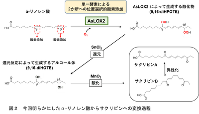 mH3Ornh8L7qbErNvDWkc.png?w=940&h=940