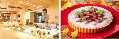 mHdNNvrO8umhUueGnkZ1.png?w=940&h=940