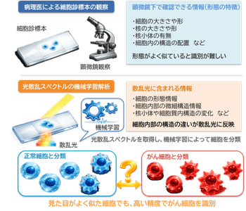 図1　研究概要