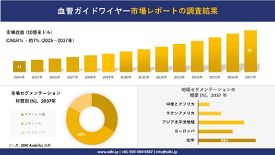 血管ガイドワイヤー市場レポート概要