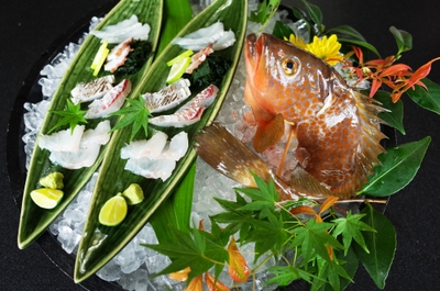 mJFbSEM9IO0ZXJg8fL0V.jpg?w=940&h=940