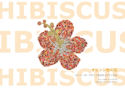 mJcfalDulSmIegCfhHWY.jpg?w=940&h=940