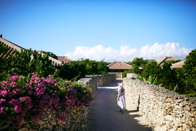 mK0NZUFW8Ahr3GoQcotT.jpg?w=940&h=940