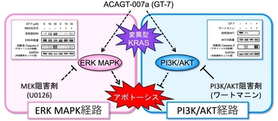 mK3geDzxxu8gta0I3YJL.jpg?w=940&h=940