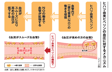 mLKxbkVVShkJk8B2oanD.png?w=940&h=940