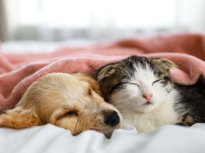 mMUZSqUL13bvCw2CFgt3.jpeg?w=940&h=940