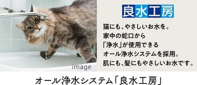 mNH89cE9PTeua94GkGWj.jpg?w=940&h=940