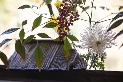 mOY5AFJcjL0hDfM1bbYi.jpg?w=940&h=940