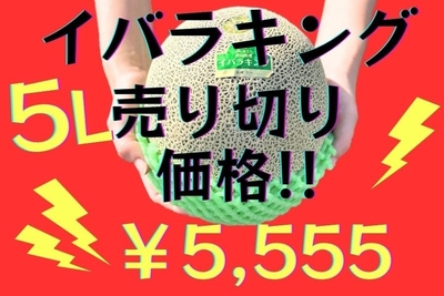 mPQTgOOluF1VJfugf5r2.jpeg?w=940&h=940