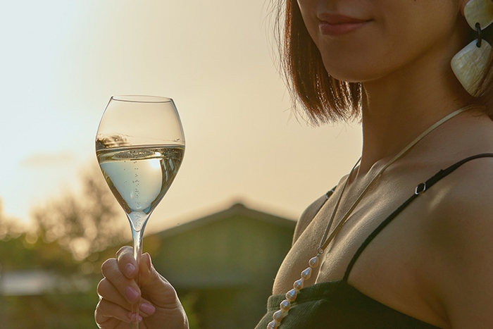 大人バカンスをさらに輝かせる一杯(イメージ)