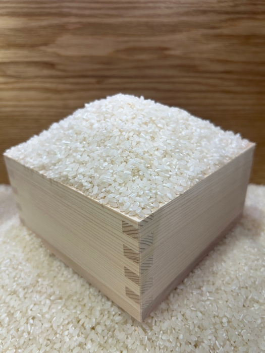 お米掬い(イメージ)