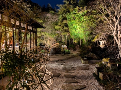 mRGYopy397Q1xor61icC.jpg?w=940&h=940