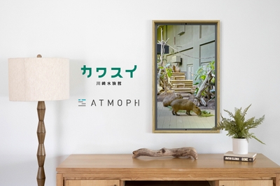 mROsyYvNN8QWR9CNGGE1.jpg?w=940&h=940