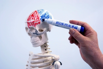 mSJiuXDuHsklePQ2bdW5.jpg?w=940&h=940