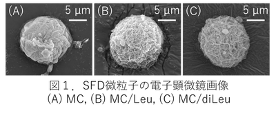 mSxL9Y61oiXU0enobSF8.png?w=940&h=940
