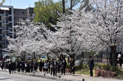 mT86bDPVIVBv7Y76w40M.jpg?w=940&h=940