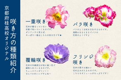 mTaL55qsaN6mYH6TqQiD.jpg?w=940&h=940