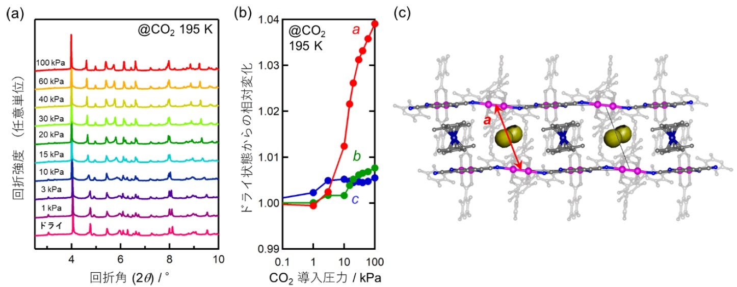 図3. (a)195Kにおける粉末X線回折パターンと、(b)粉末X線回折パターンの解析から得られた格子定数a,b,cの二酸化炭素圧力依存性(ドライ状態の時の値との相対比)。10~20kPaのあたりで回折パターンに変化がみられ、格子定数aが大きく伸長していることが分かる。(c)二次元層を横から見た結晶構造。格子定数aは層間距離に対応している。