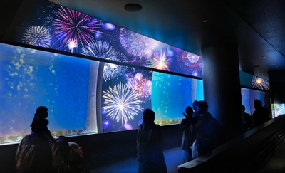 mUims0kVTyLogGdZzuGi.jpg?w=940&h=940